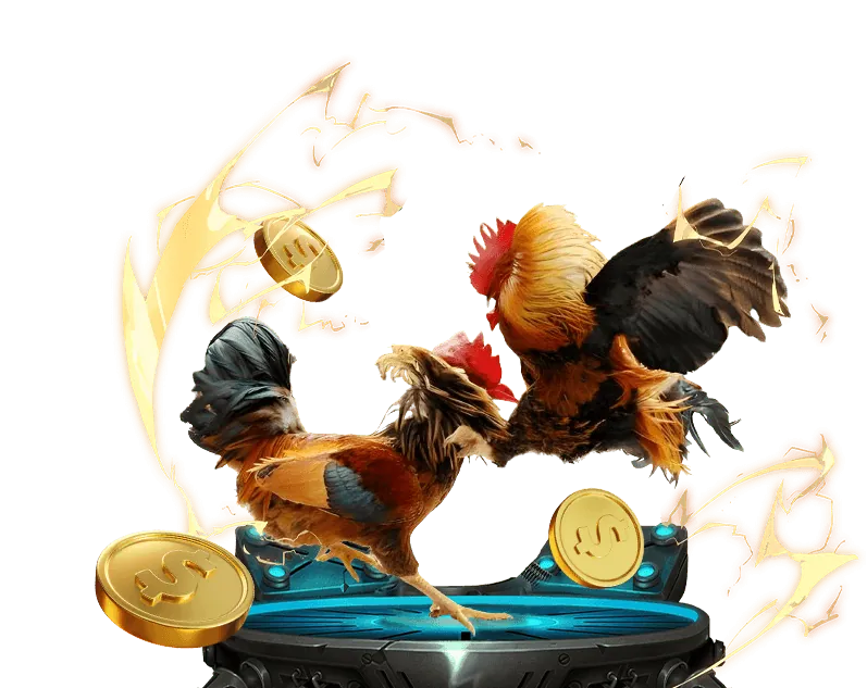 Giao Diện Cá Cược Đá Gà Kubet